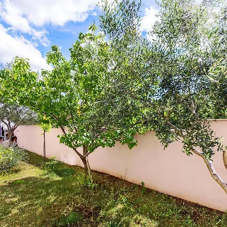 Bicikleta Istra Peroj