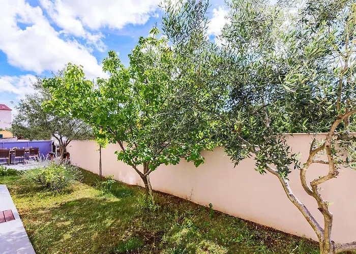 Bicikleta Istra Peroj